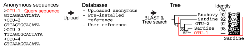 Comparison of similarity searches and phylogenetic identification