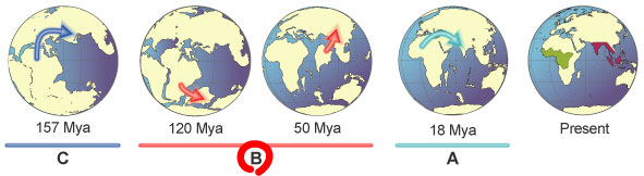 Jun Inoue: Biogeography of knifefish