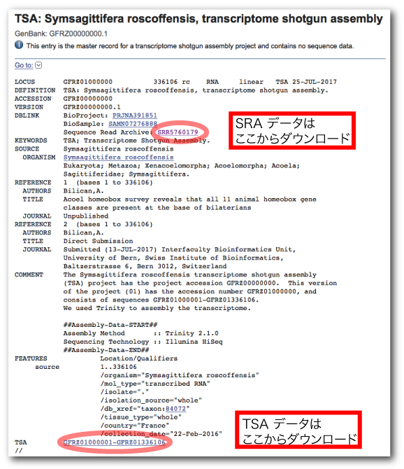 NCBI prefetch where are files downloaded